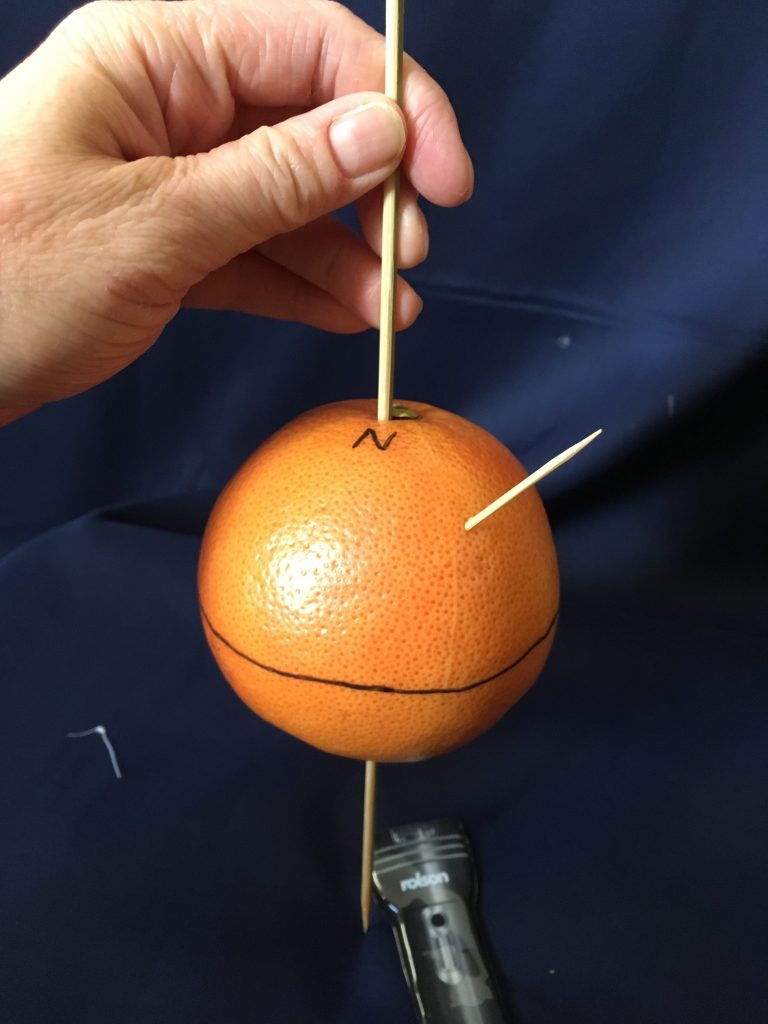 Step 5: push a cocktail stick into the orange, halfway between the North Pole and the equator